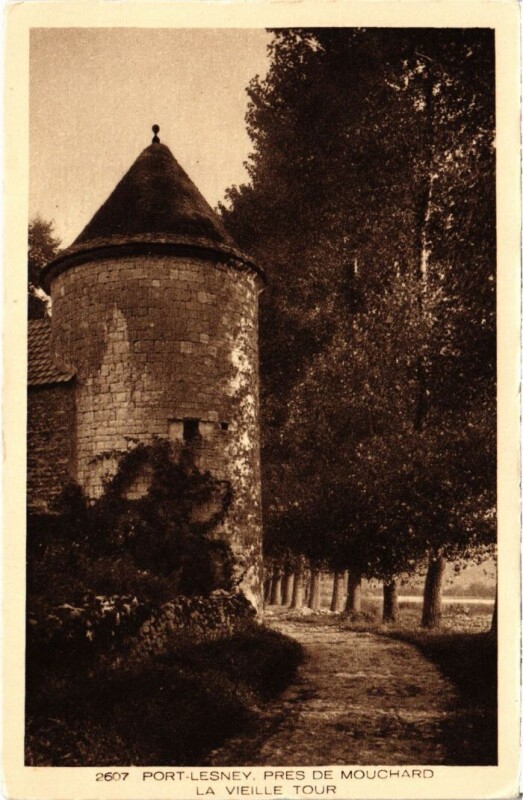 Carte postale ancienne Port Lesney La vieille Tour à Port-Lesney