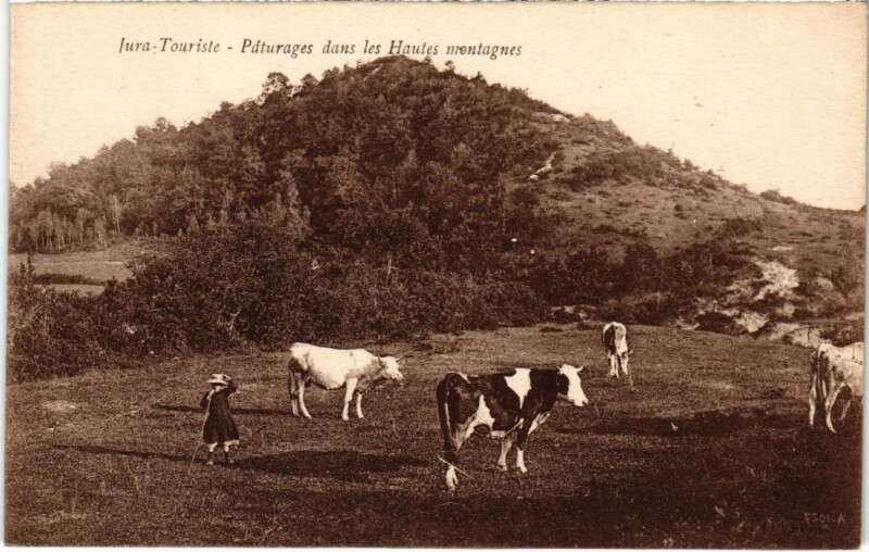 Carte postale ancienne Paturages dans les Hautes montagness