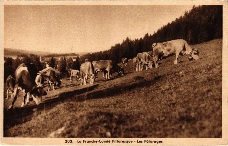 Carte postale ancienne Les Paturages