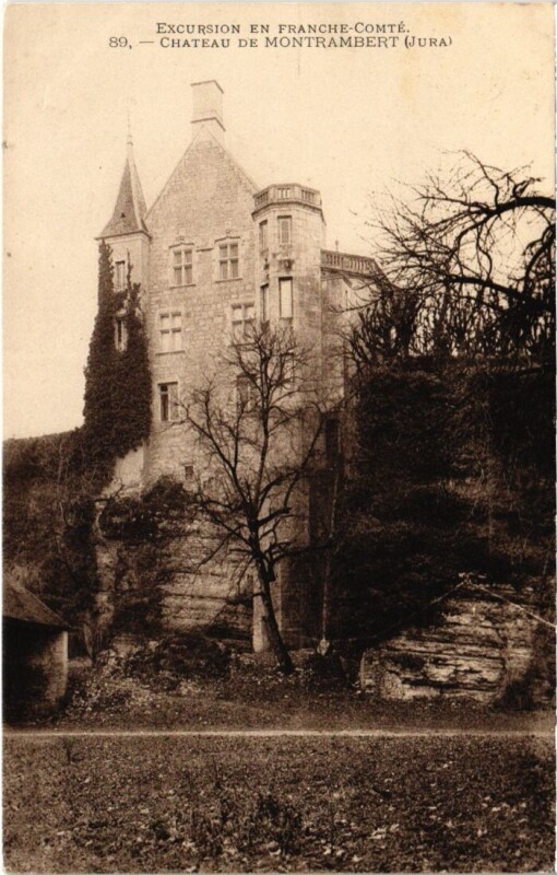 Carte postale ancienne Montrambert Le Chateau