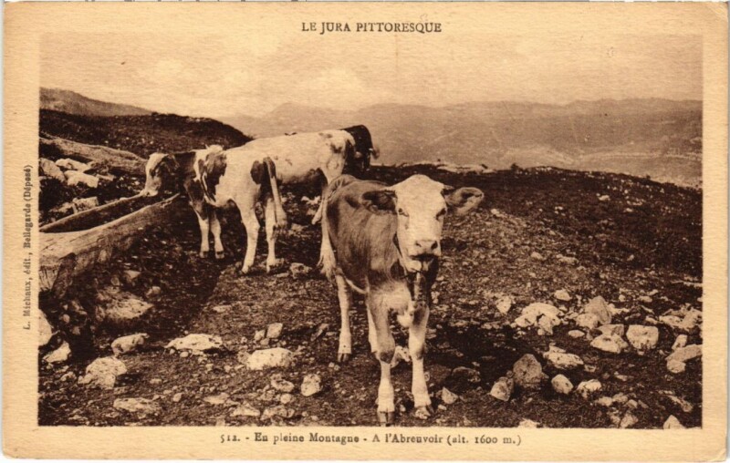 Carte postale ancienne En pleine Montagne