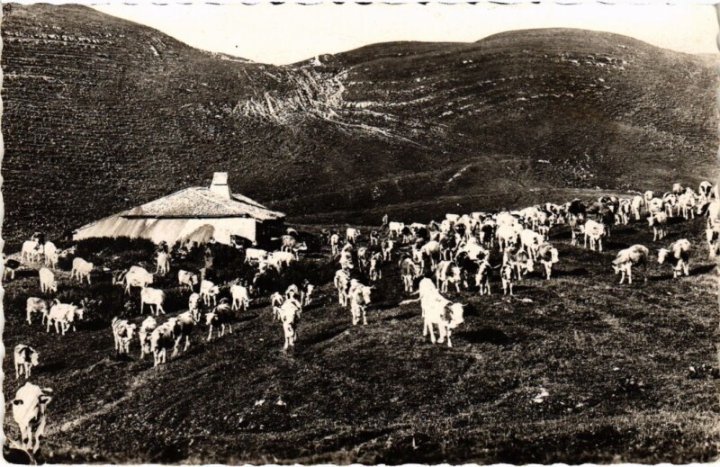 Carte postale ancienne Un chalet du Jura
