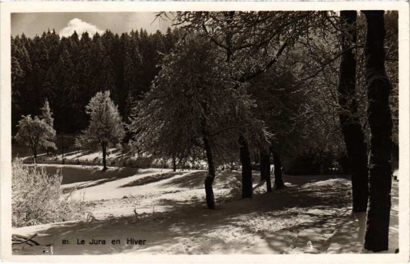 Carte postale ancienne Le Jura en hiver