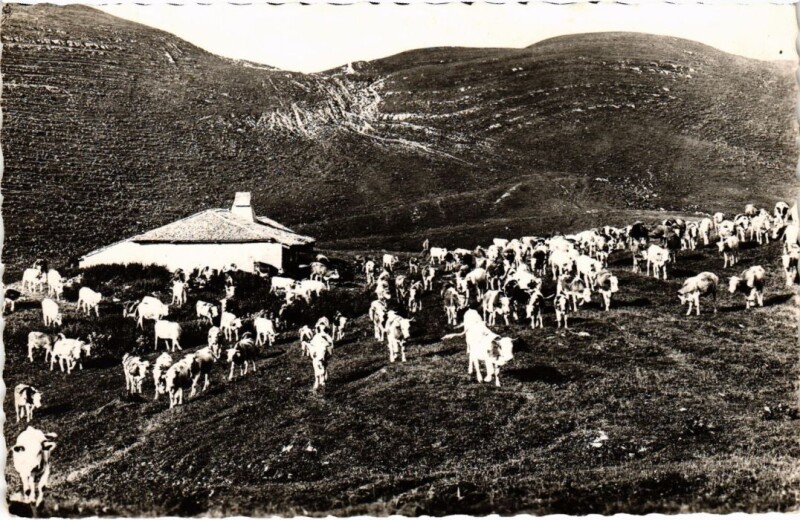 Carte postale ancienne Un chalet du Jura