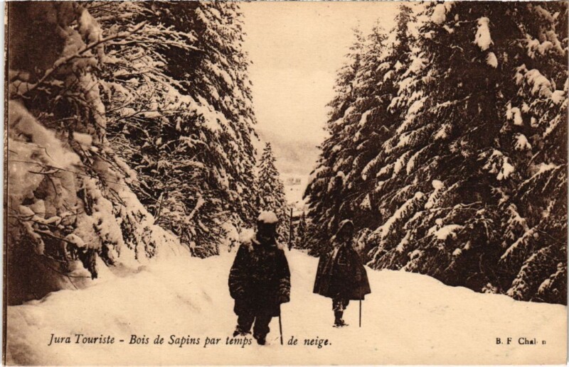 Carte postale ancienne Bois de Sapins par temps de neige