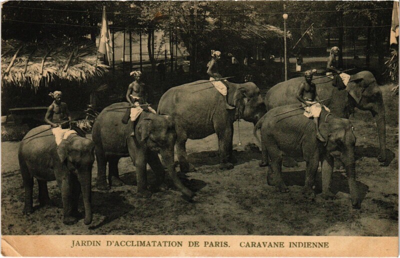 Carte postale ancienne Jardin d'Acclimatation de Paris - Caravane Indienne à Neuilly-sur-Seine