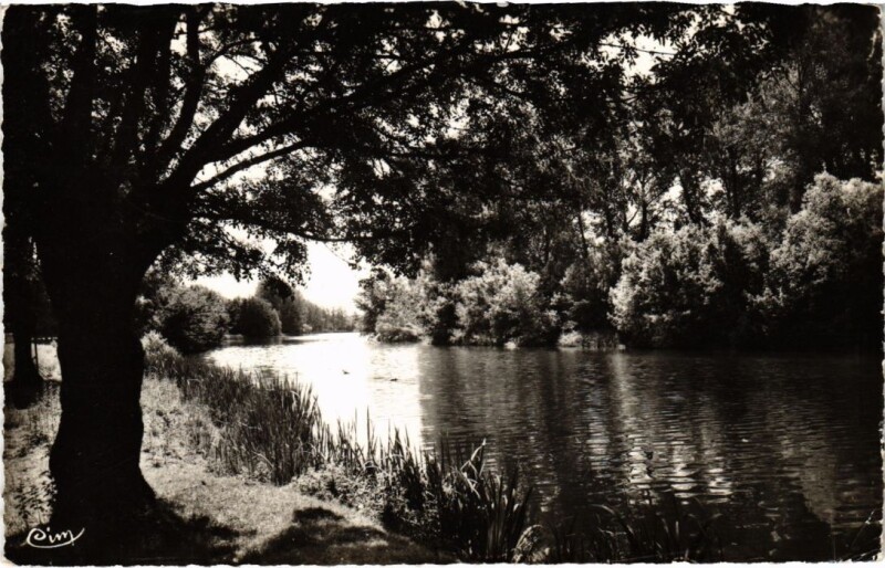 Carte postale ancienne Mennetou sur Cher Bords du Cher France à Mennetou-sur-Cher