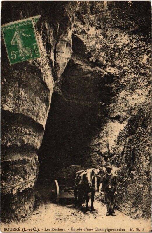 Carte postale ancienne Bourre Les Rochers France
