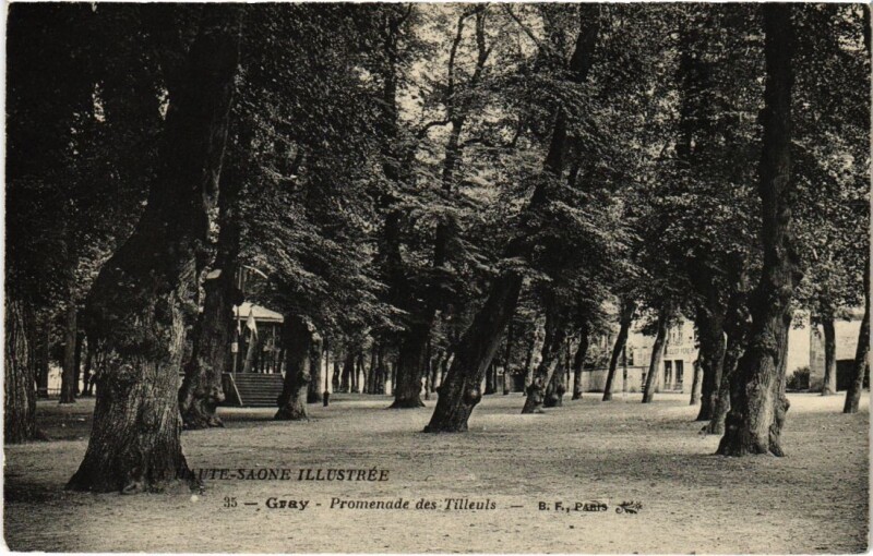 Carte postale ancienne Gray Promenade des Tilleuls