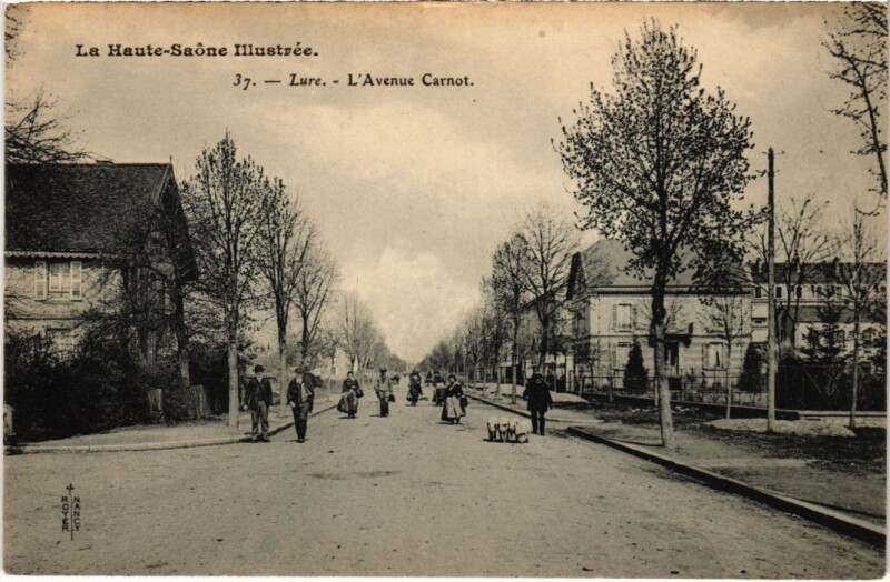 Carte postale ancienne Lure Avenue Carnot
