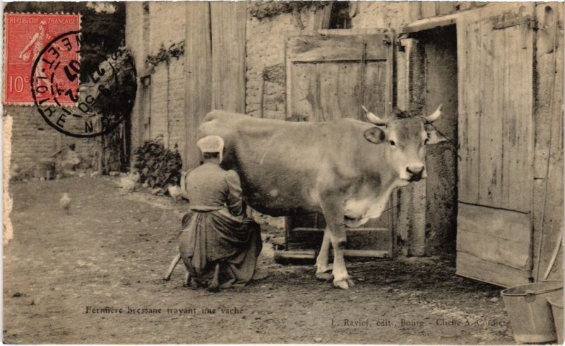 Carte postale ancienne Fermiere Bressane