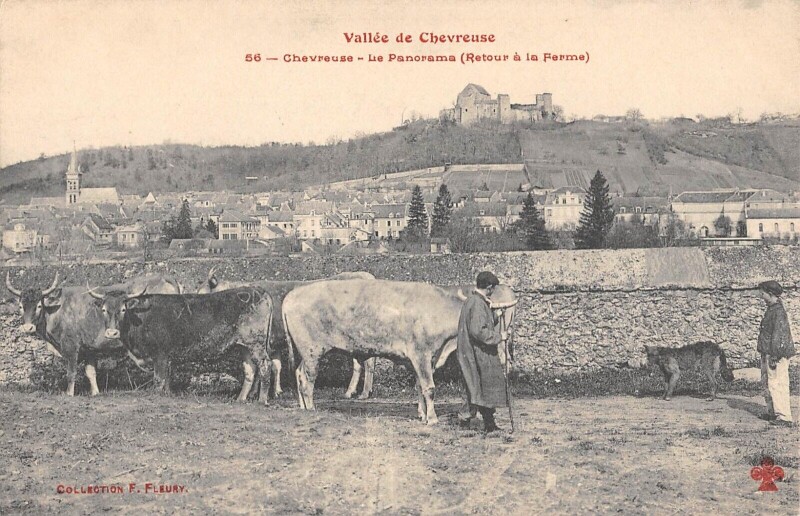 Carte postale ancienne Chevreuse - Le Panorama - Retour A La Ferme - Vache #1733015929 à Chevreuse