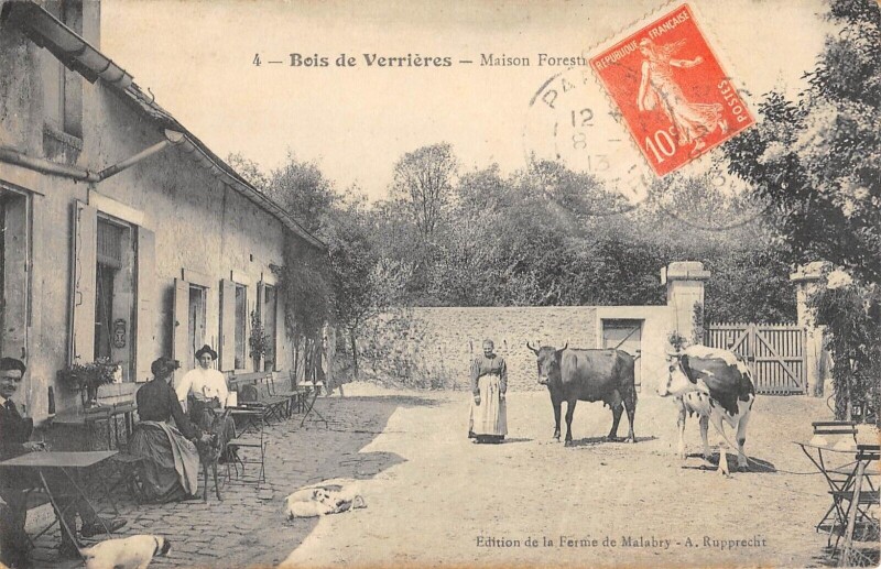 Carte postale ancienne Bois De Verrieres Maison Forestiere - Vache
