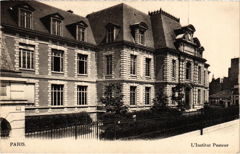 Carte postale ancienne L'Institut Pasteur à Paris 15e