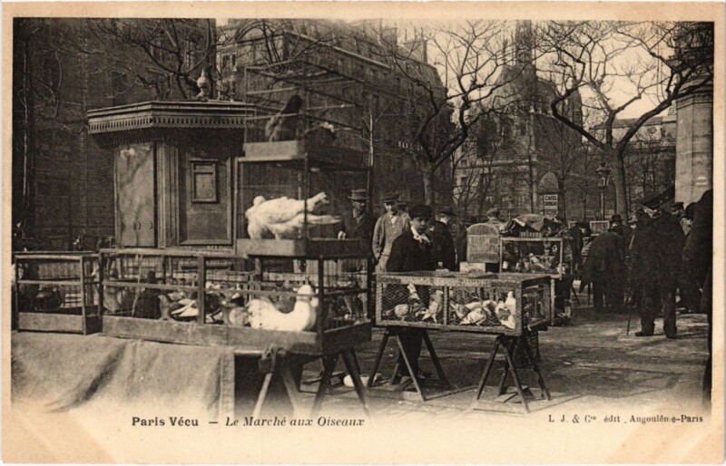 Carte postale ancienne Le Marché aux Oiseaux à Paris 4e