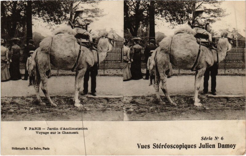 Carte postale ancienne Jardin d'Acclimatation - Voyage sur le Chameau à Neuilly-sur-Seine