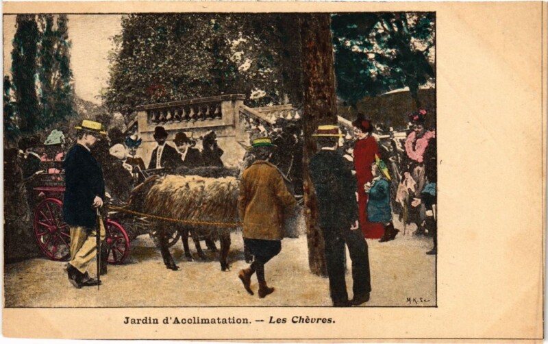 Carte postale ancienne Jardin d'Acclimatation - Les Chèvres à Paris 16e