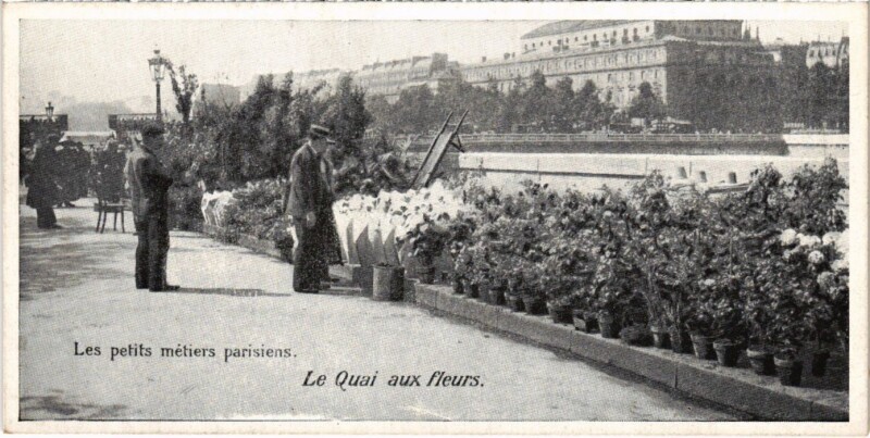Carte postale ancienne Paris Petits Metiers Quai aux Fleurs