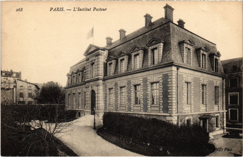 Carte postale ancienne L'Institut pasteur à Paris 15e