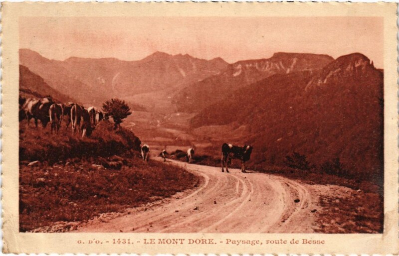 Carte postale ancienne Le Mont Dore Paysage, route de Besse France à Mont-Dore