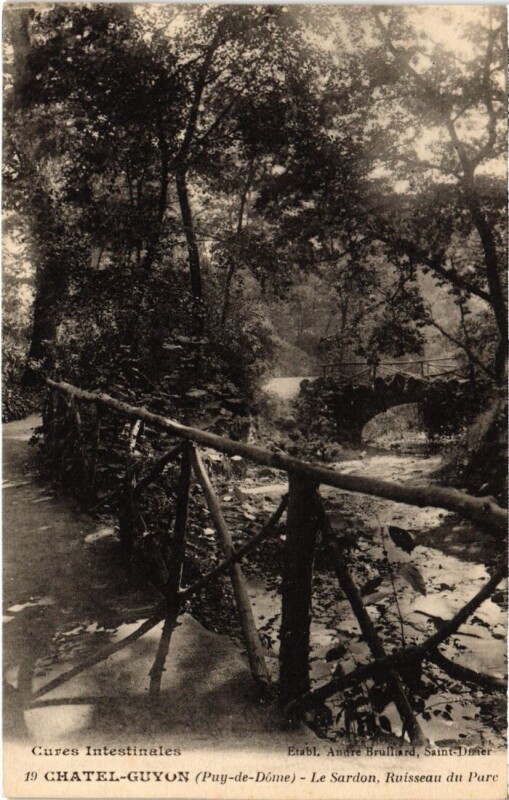 Carte postale ancienne Chatel-Guyon Le Sardon, Ruisseau du Parc France à Sardon
