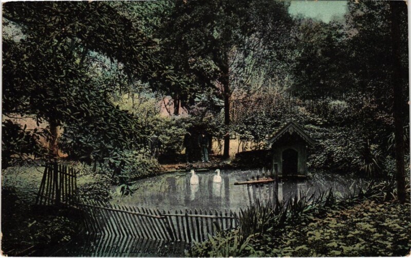 Carte postale ancienne Narbonne Le Lac des Cygnes France