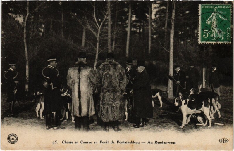 Carte postale ancienne Fontainebleau Chasse en Courre en Foret France à Fontainebleau