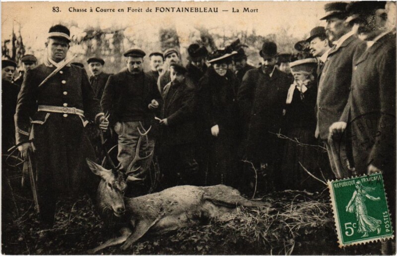 Carte postale ancienne Fontainebleau Chasse a Courre en Foret, La Mort France à Fontainebleau