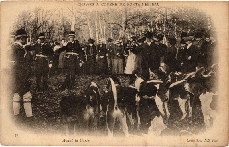 Carte postale ancienne Fontainebleau Chasse a Courre, Avant la Curee France à Fontainebleau