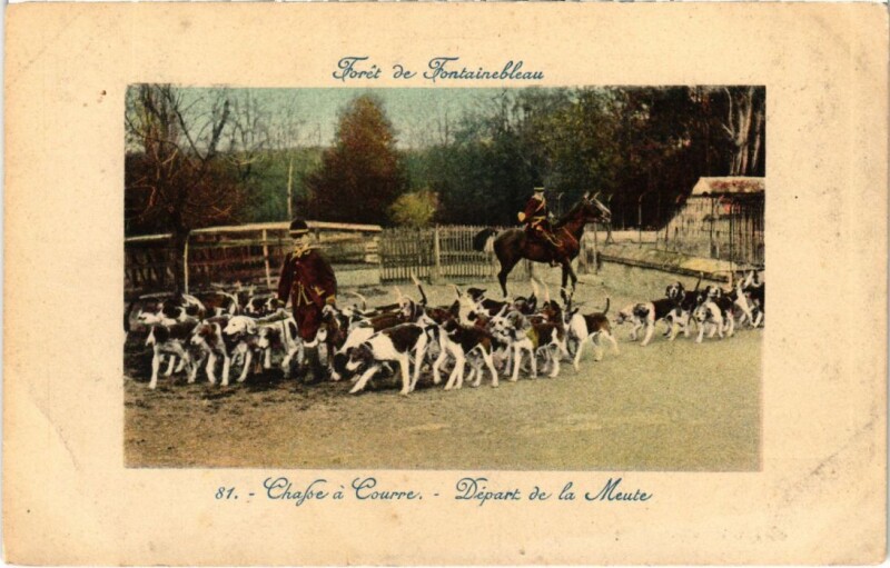 Carte postale ancienne Fontainebleau Chasse a Courre France à Fontainebleau