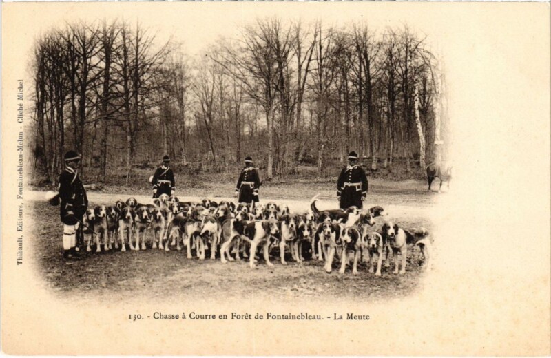 Carte postale ancienne Fontainebleau La Meute France à Fontainebleau