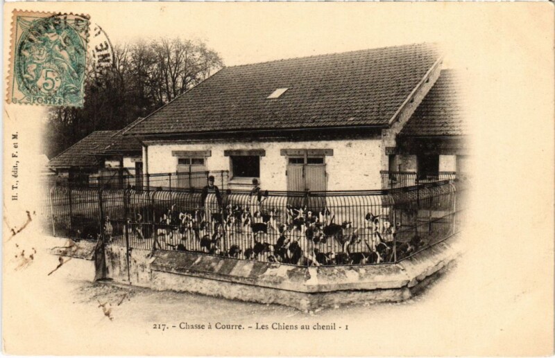 Carte postale ancienne Fontainebleau Les Chiens au chenil France à Fontainebleau