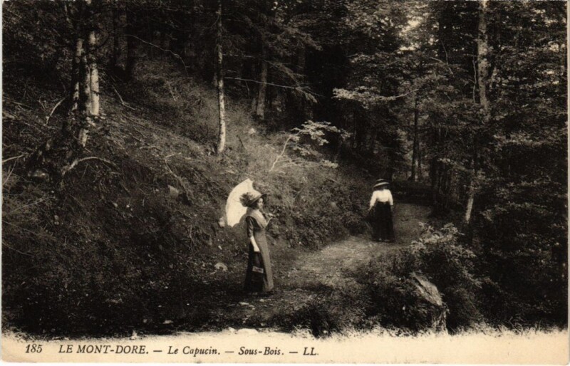 Carte postale ancienne Le Mont Dore Le Capucin France à Mont-Dore