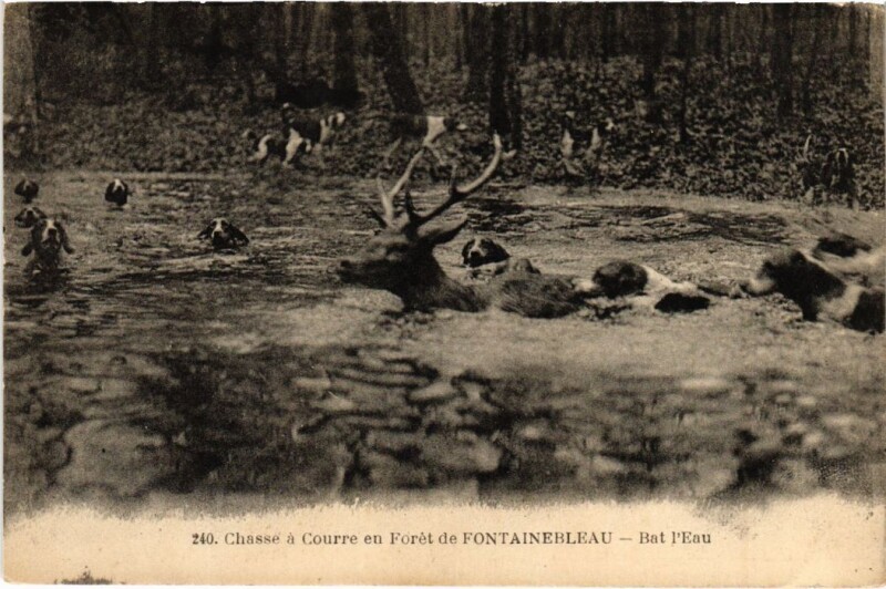 Carte postale ancienne Fontainebleau Bat l'Eau France à Fontainebleau
