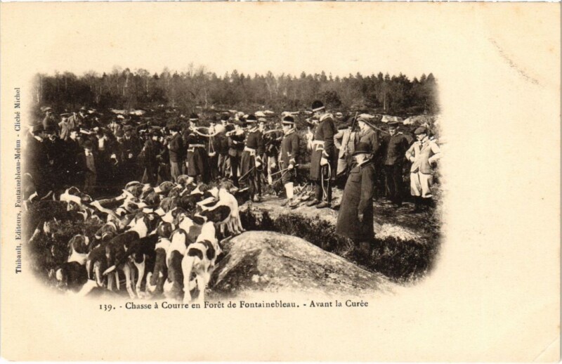 Carte postale ancienne Fontainebleau Chasse a Courre en Foret France à Fontainebleau