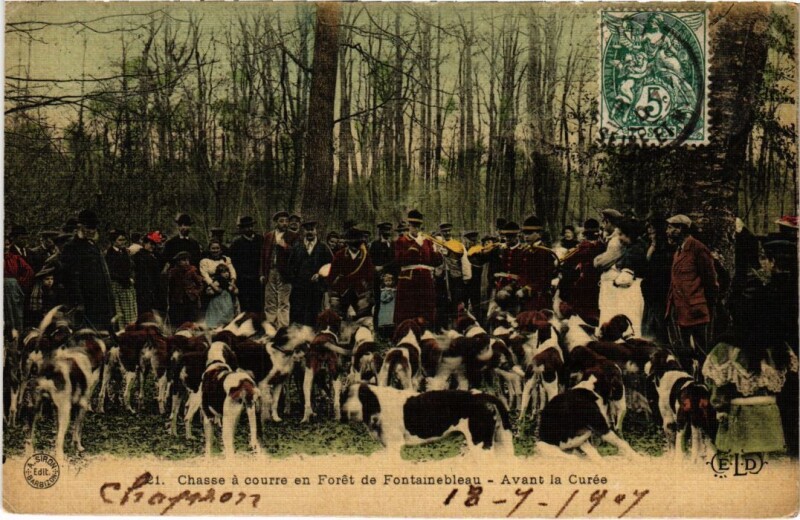 Carte postale ancienne Fontainebleau Avant la Curee France à Fontainebleau