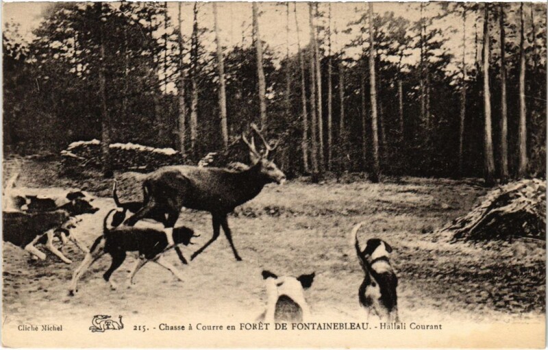 Carte postale ancienne Fontainebleau Hallali Courant France à Fontainebleau