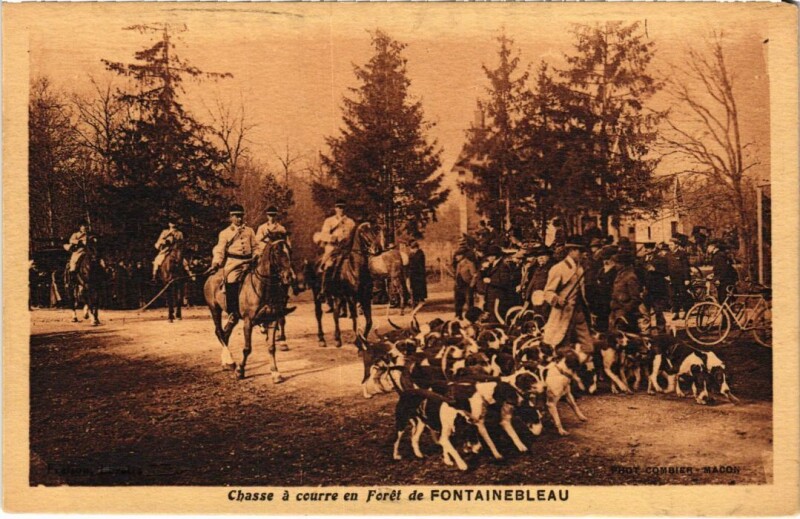 Carte postale ancienne Fontainebleau Chasse a courre en Foret France à Fontainebleau