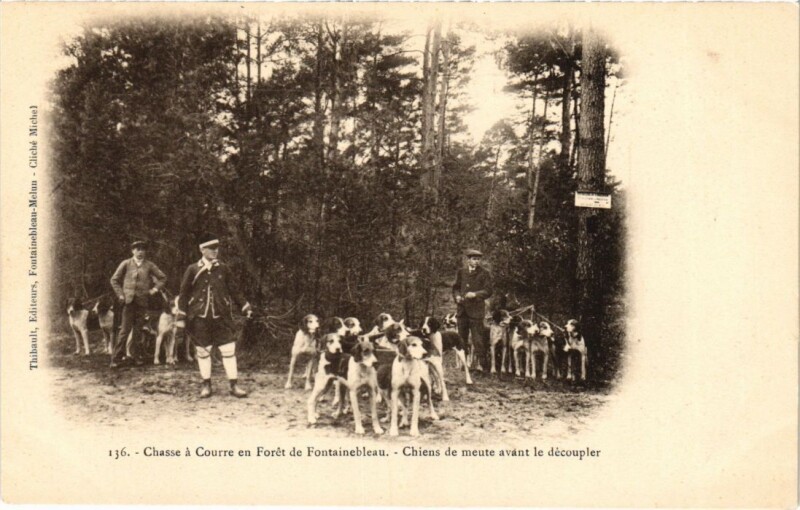 Carte postale ancienne Fontainebleau Chiens de meute avant le decoupler France à Fontainebleau