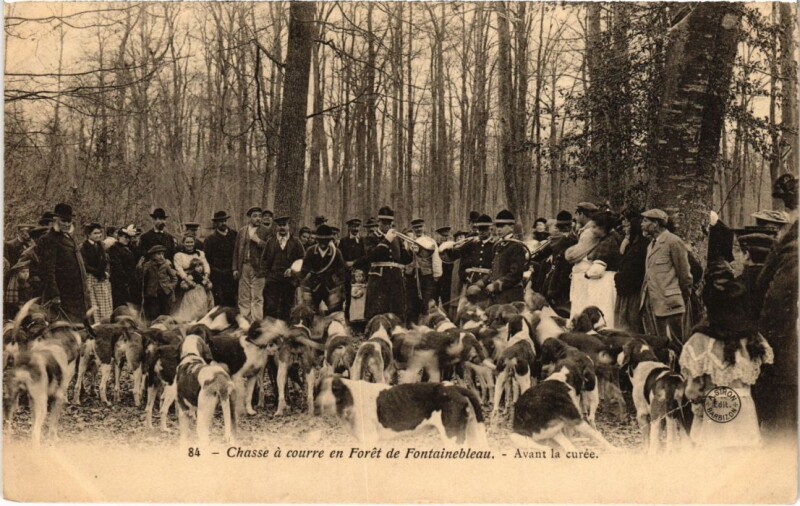 Carte postale ancienne Fontainebleau Avant la Curee France à Fontainebleau
