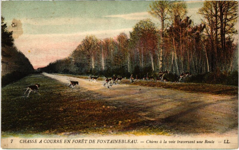 Carte postale ancienne Fontainebleau Chiens a la voie traversant une Route France à Fontainebleau