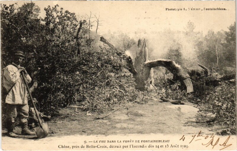 Carte postale ancienne Fontainebleau Chene,pres de Belle-Croix France à Fontainebleau