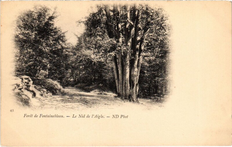 Carte postale ancienne Fontainebleau Le Nid de l'Aigle France à Fontainebleau