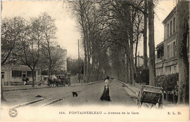 Carte postale ancienne Fontainebleau Avenue de la Gare France à Fontainebleau