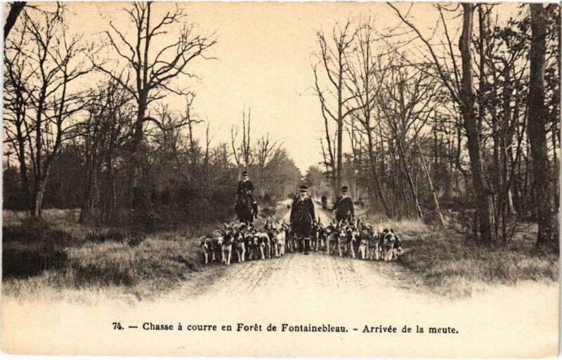 Carte postale ancienne Fontainebleau Arrivee de la meute France à Fontainebleau