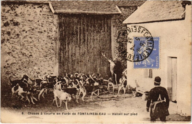 Carte postale ancienne Fontainebleau Hallali sur pied France à Fontainebleau
