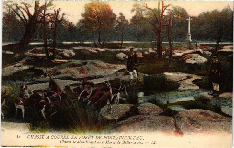 Carte postale ancienne Fontainebleau Chiens se desalterant aux Mares France à Fontainebleau
