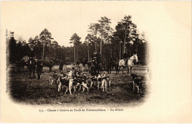 Carte postale ancienne Fontainebleau En defaut France à Fontainebleau