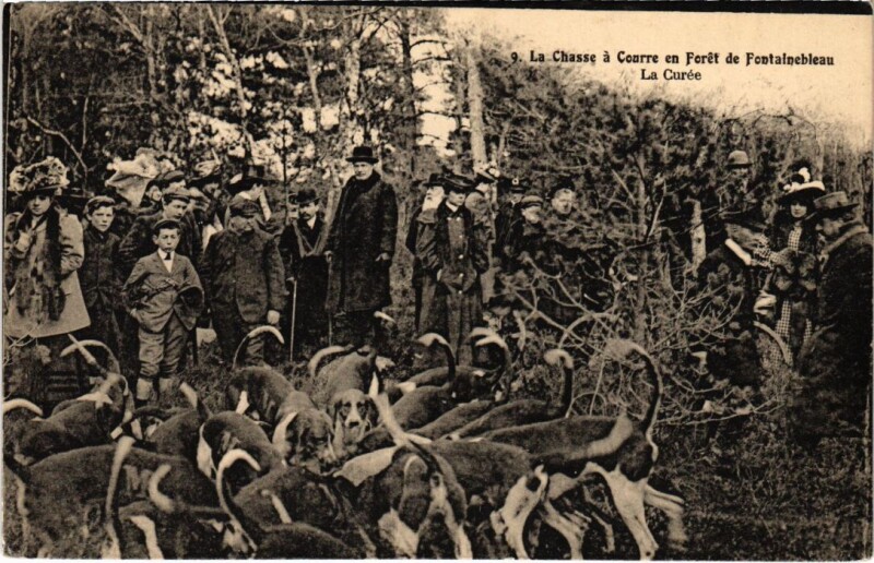 Carte postale ancienne Fontainebleau La Curee France à Fontainebleau