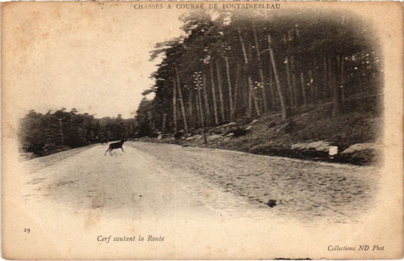 Carte postale ancienne Fontainebleau Cerf sautant la Route France à Fontainebleau